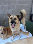 Daycare pic - Auggue